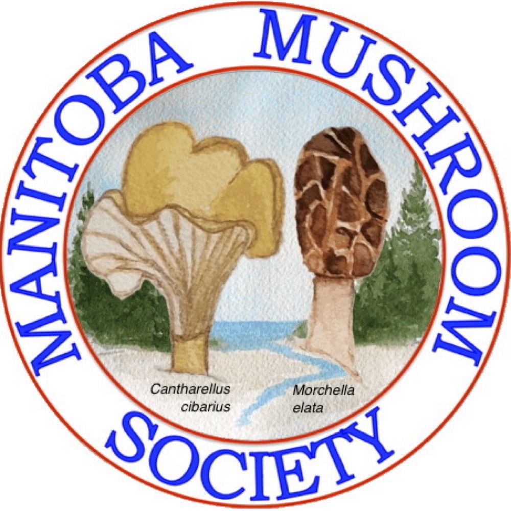 Manitoba Mushroom Society