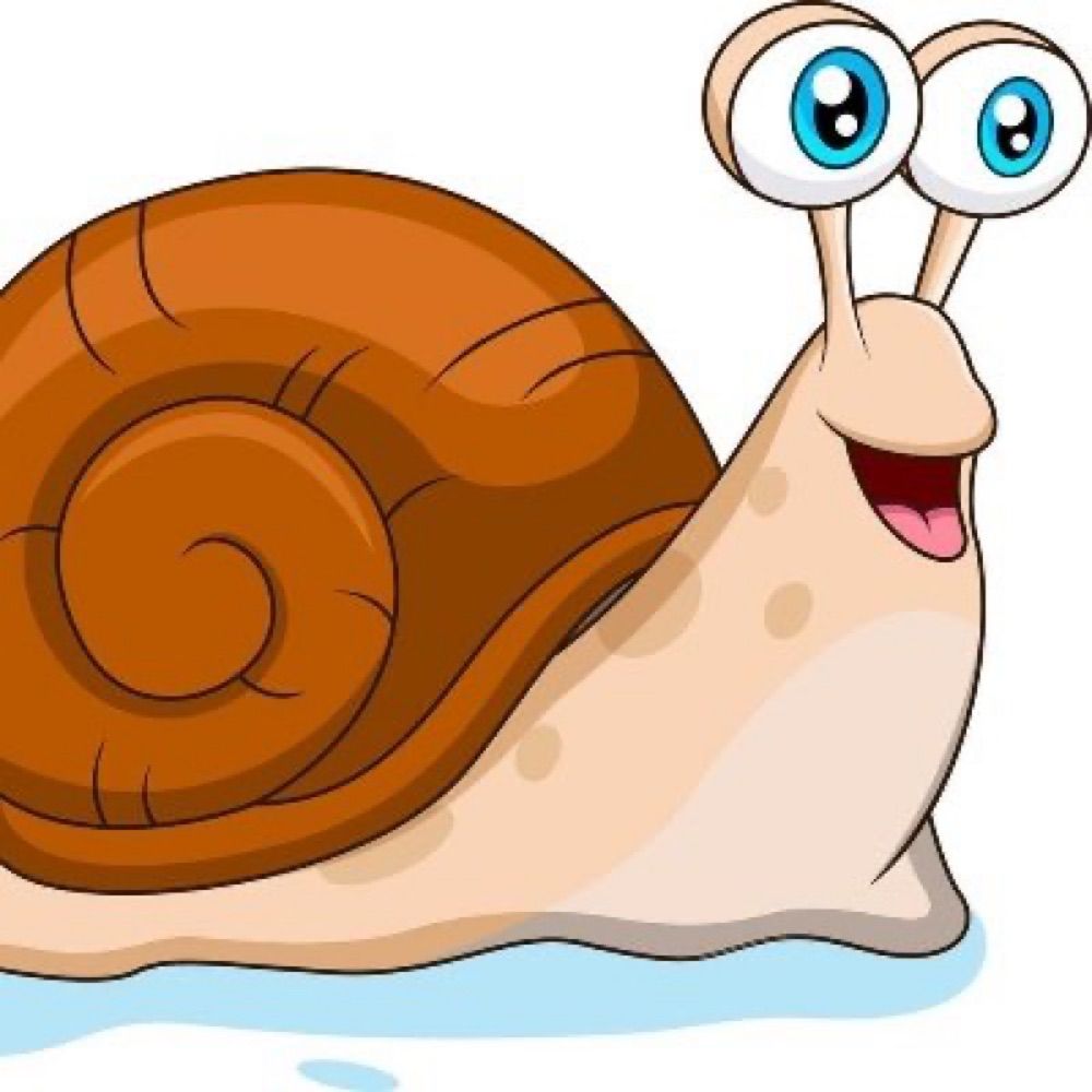 Fibonacci Spiral Dude (He/Him)