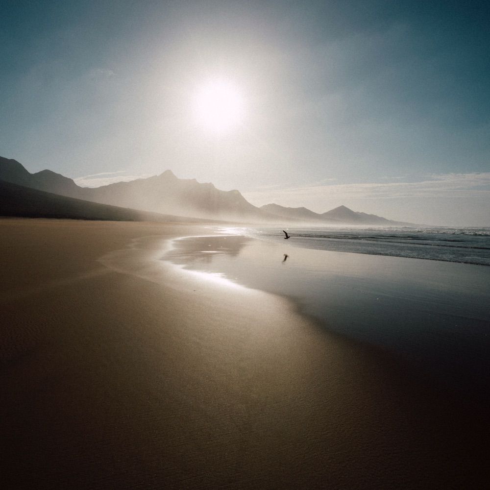 Jochen Pach