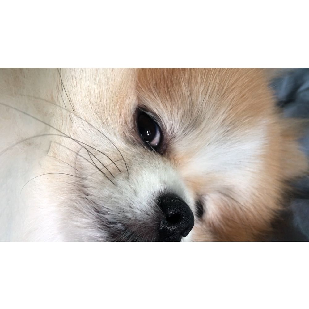 moonandback.bsky.social