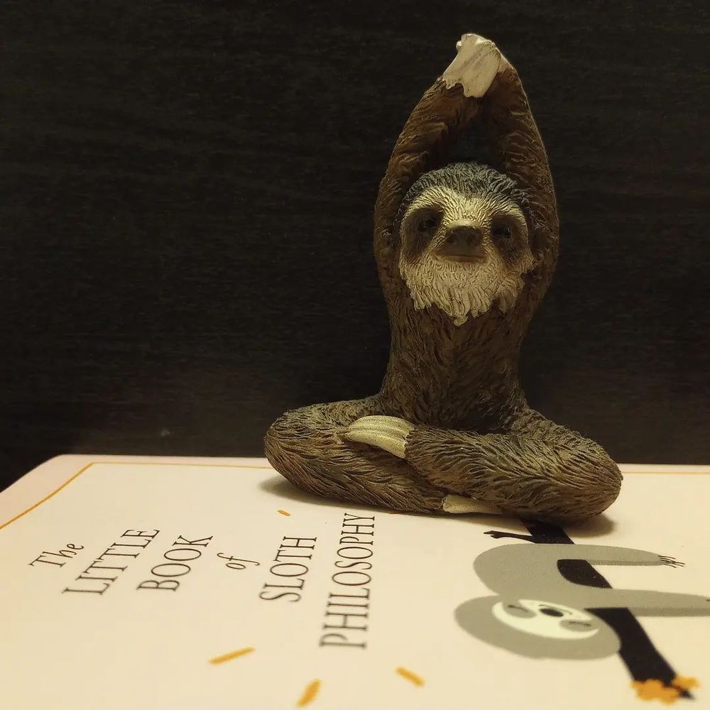 deni starsloth