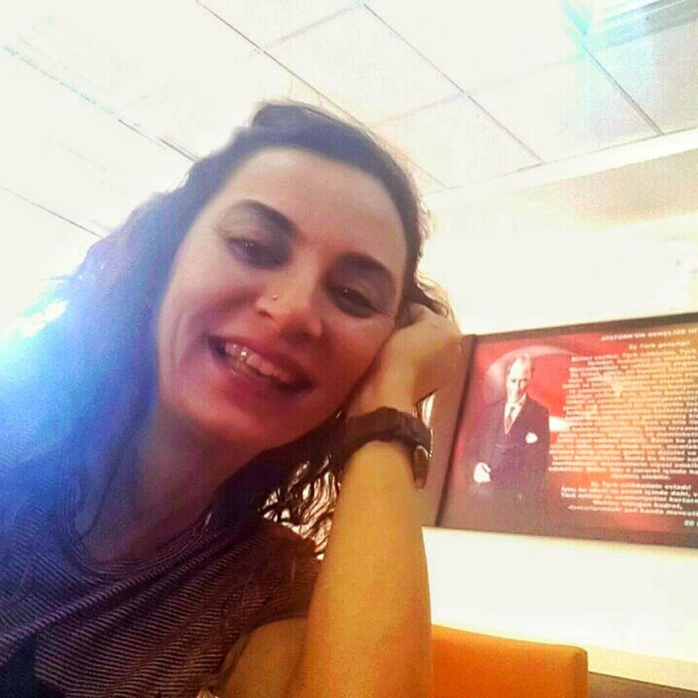 ays_gull