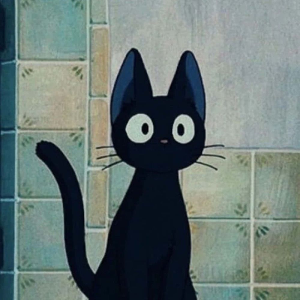 Stupid Cat