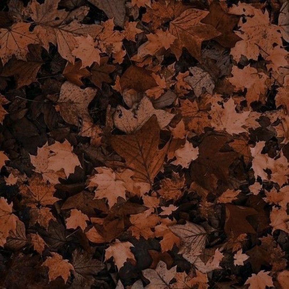 vih 🍂🕯