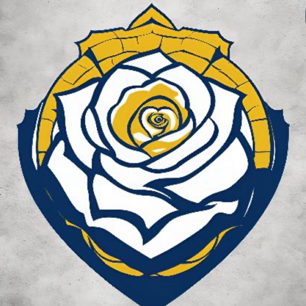 LUFC 1919
