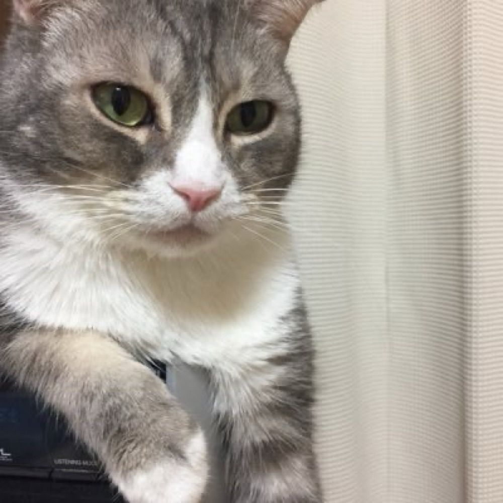 萌実