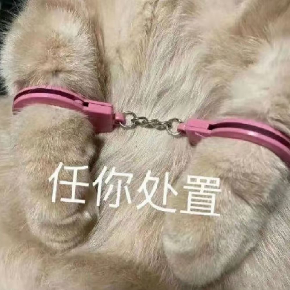 骚宝是个恋爱脑