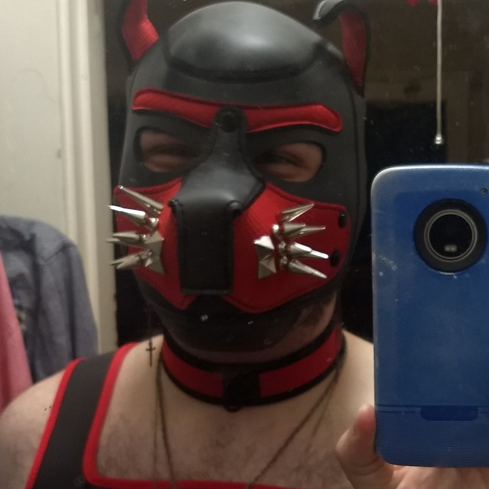 Pup Iron
