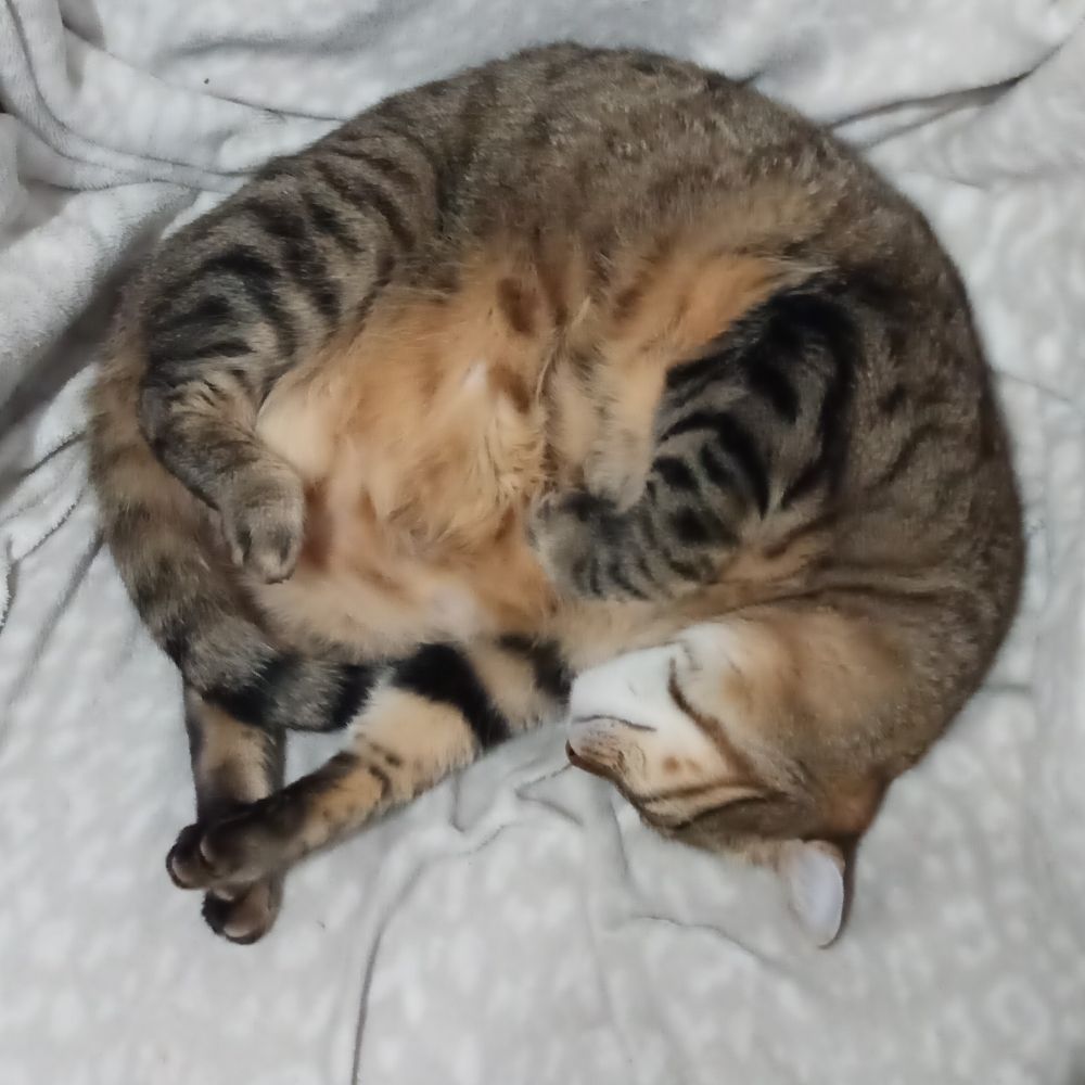 Pablo