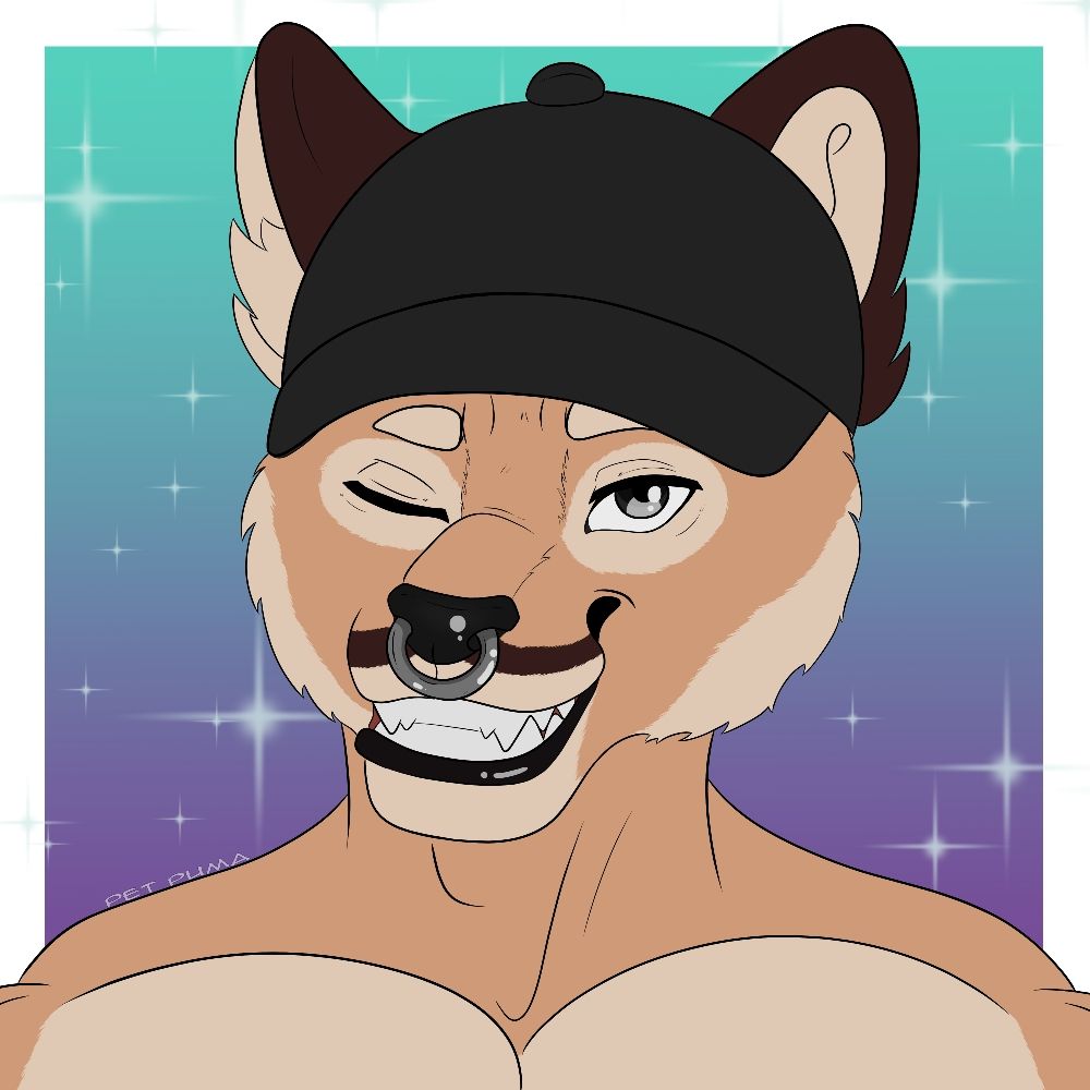 Pet Puma