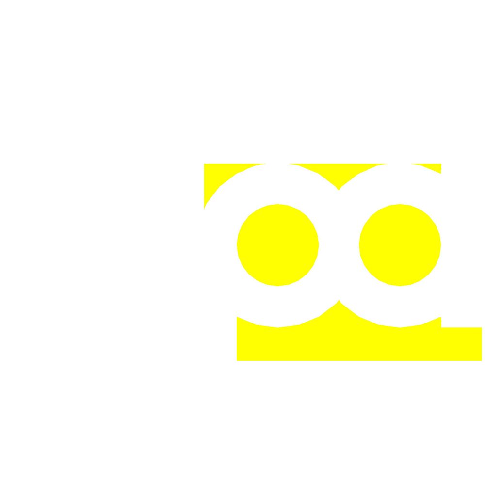 Project Architects