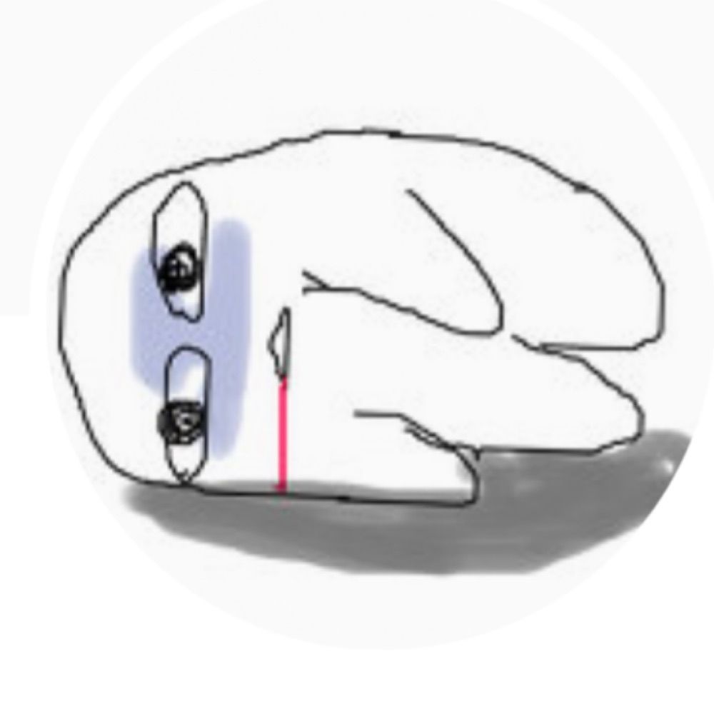 げっちゅ