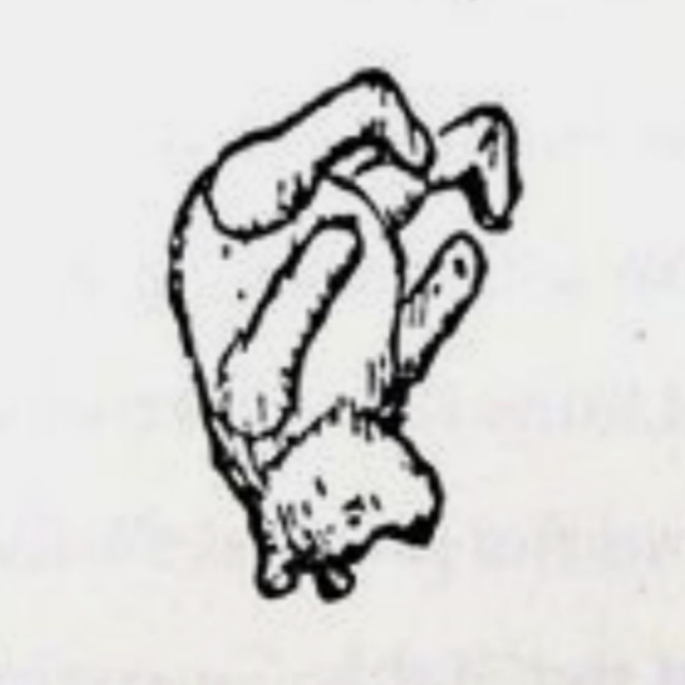spiryn