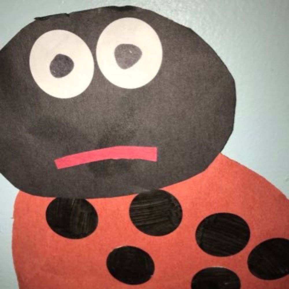 A Worried Ladybug