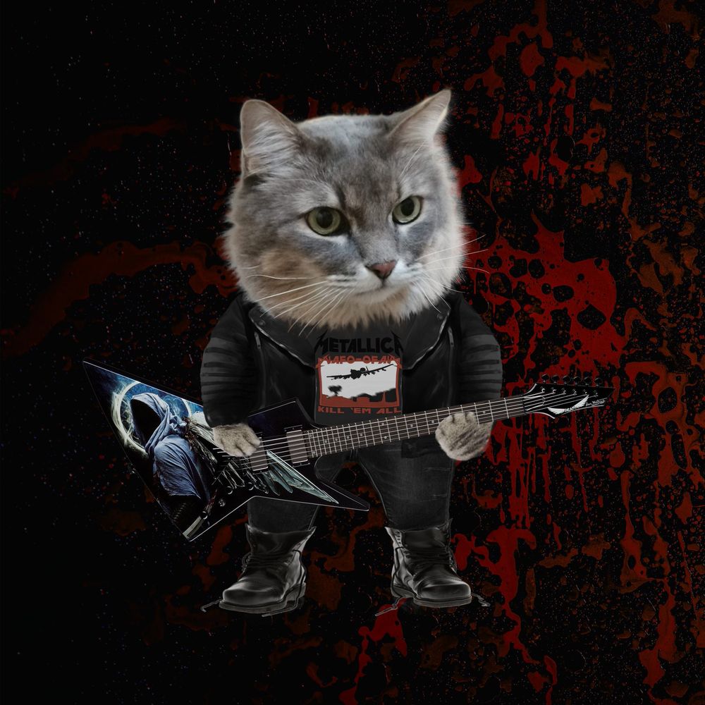 MetalRock Fella