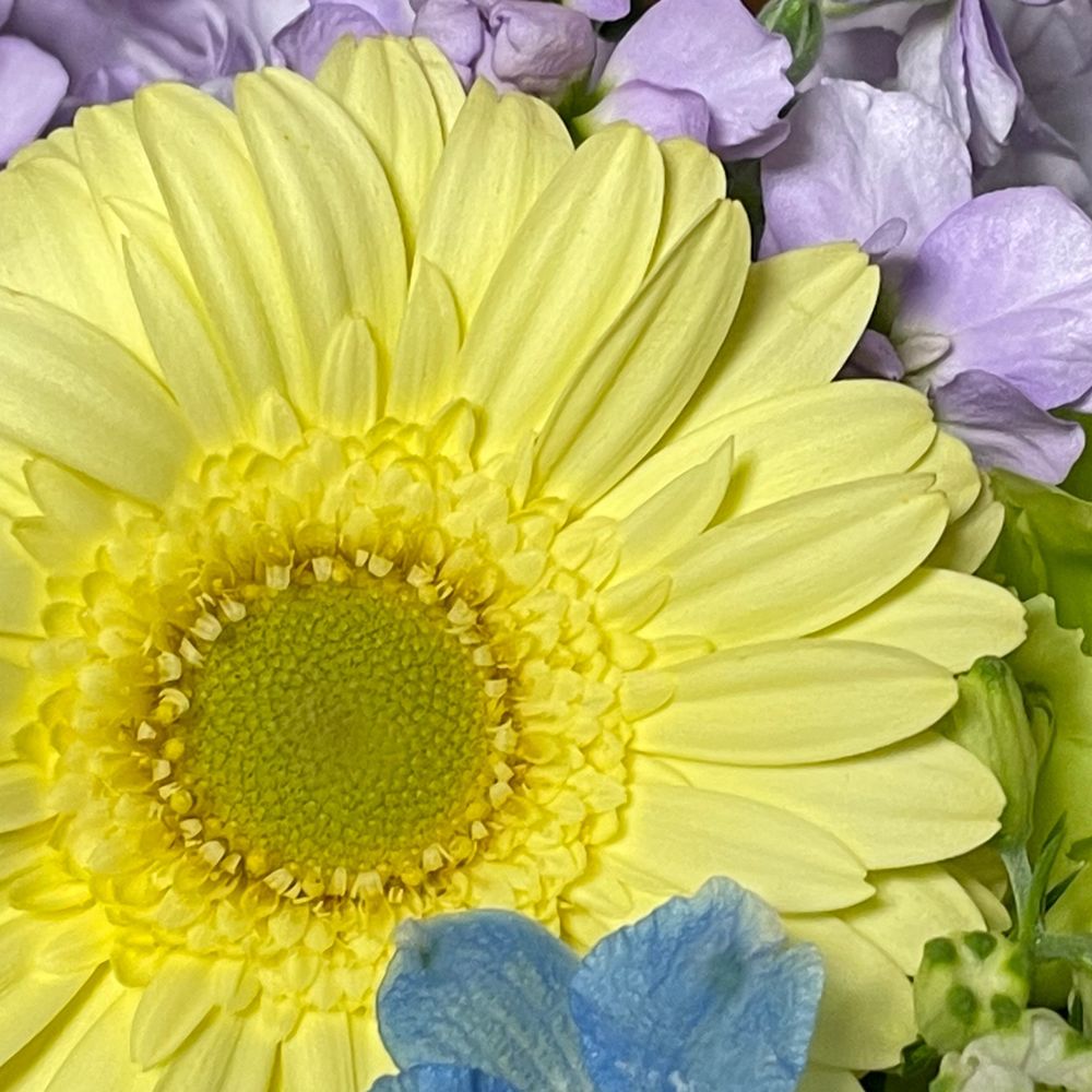 みまこ