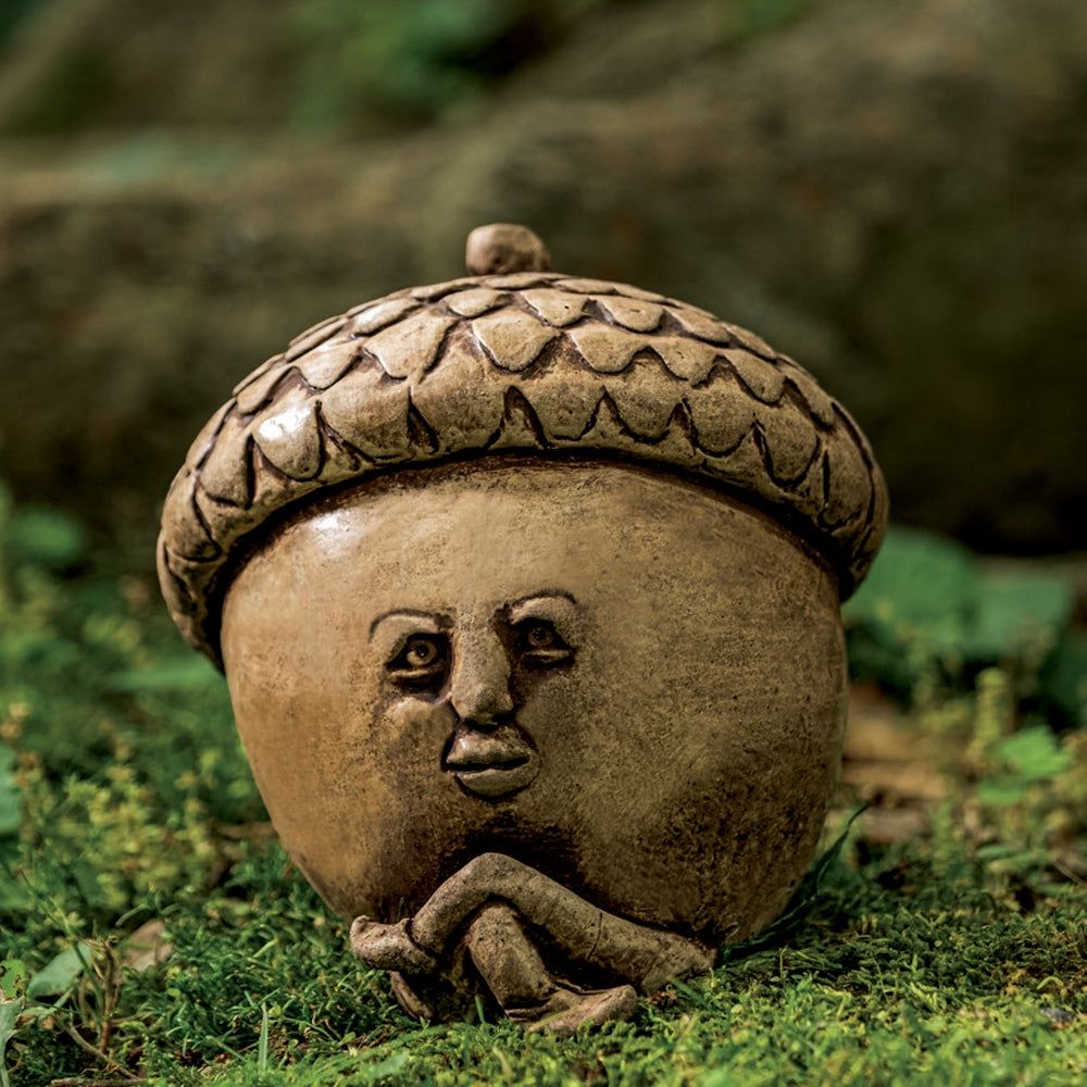 acorn