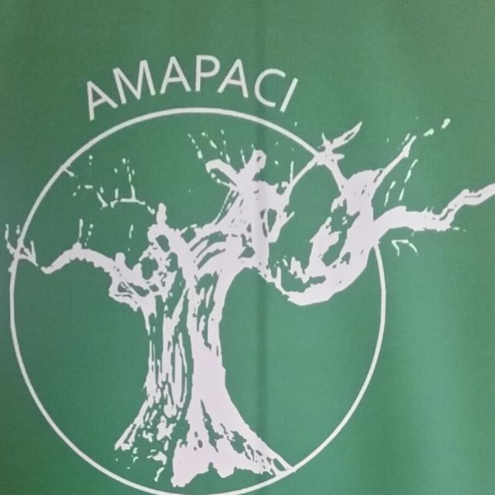 AMAPACI-Asoc.Mayores Part.Ciud.