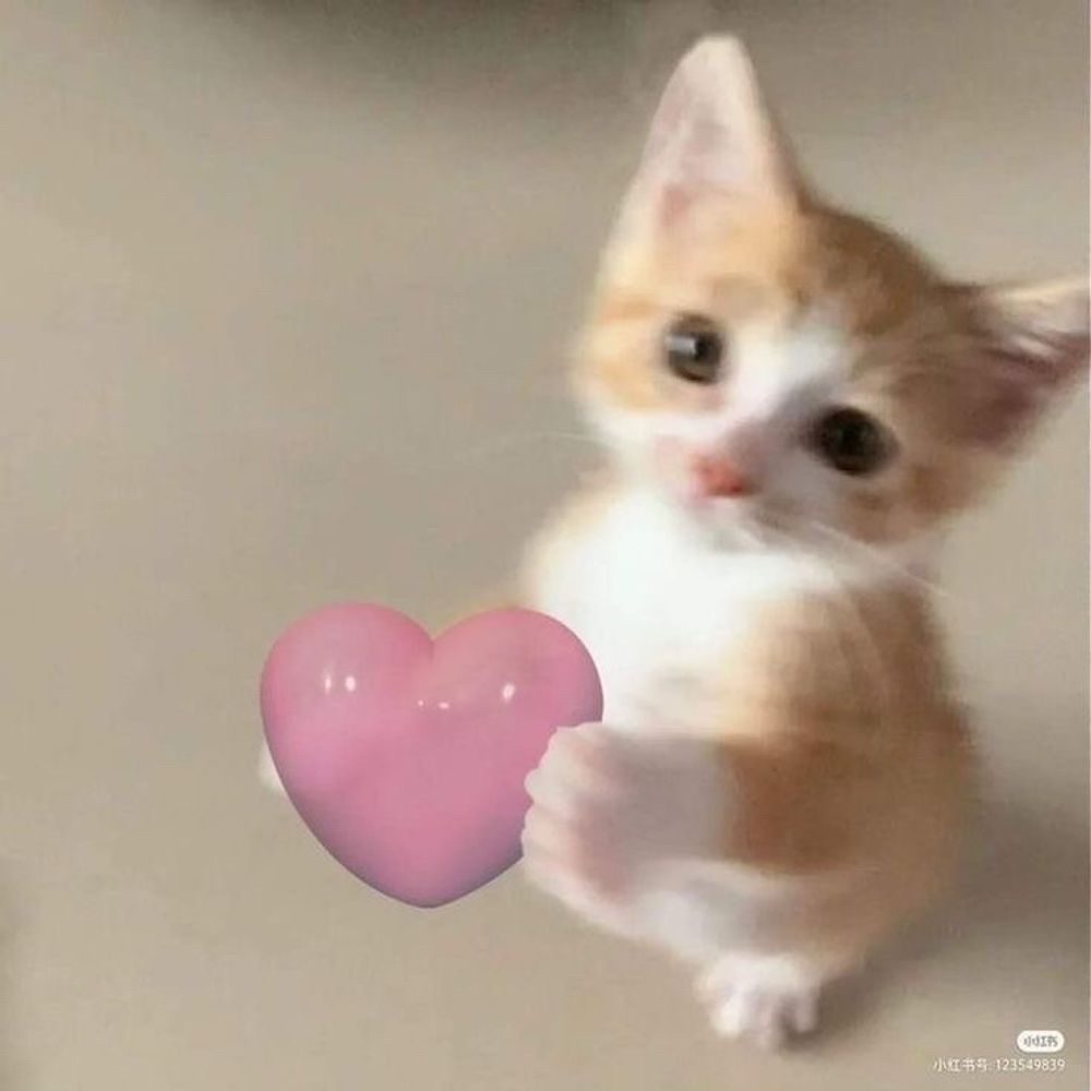 hici