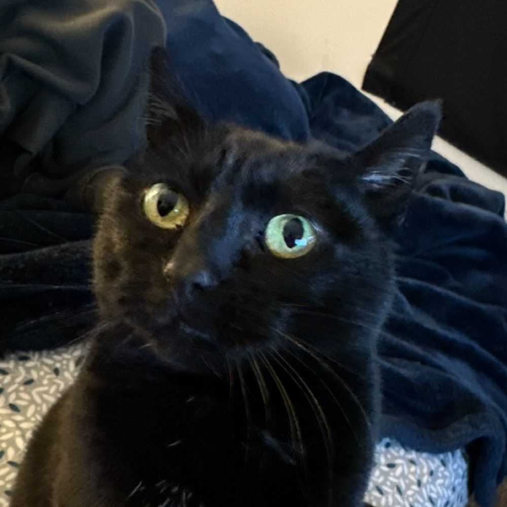 Ruby the Booby