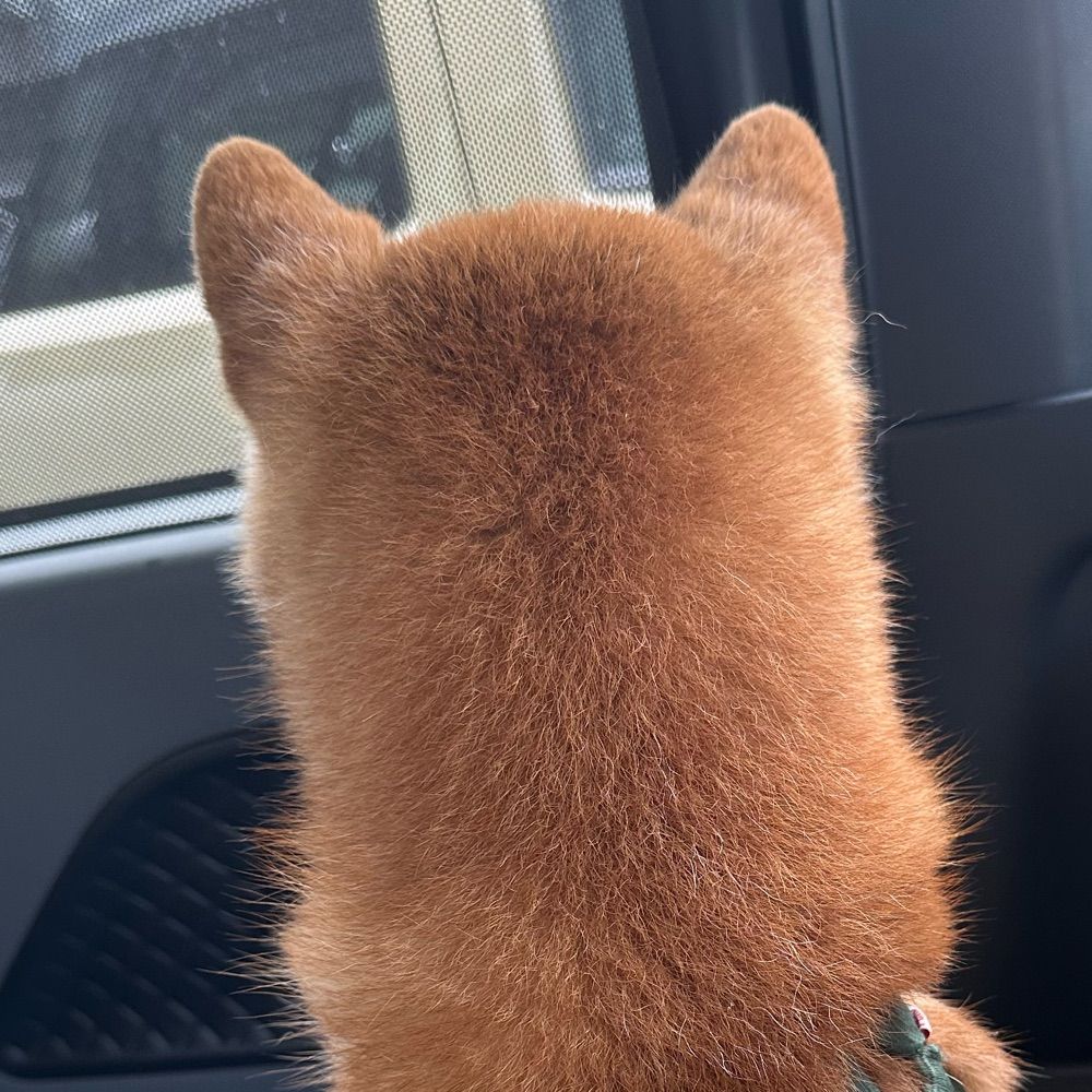 おかユ