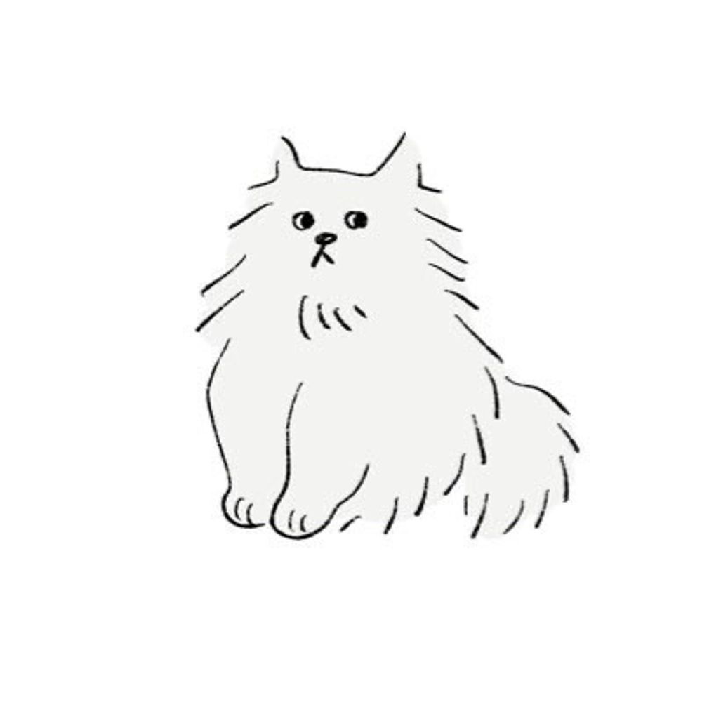 しいろ