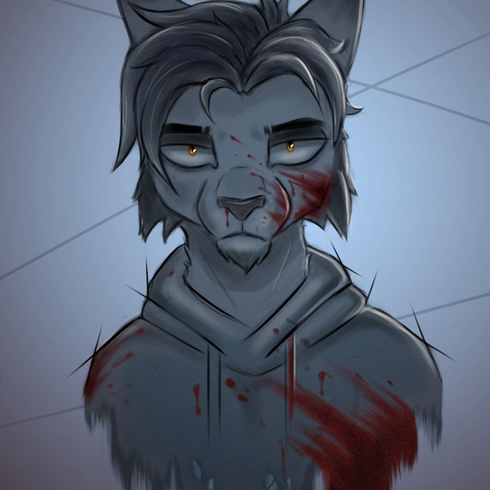 ShuvaCat