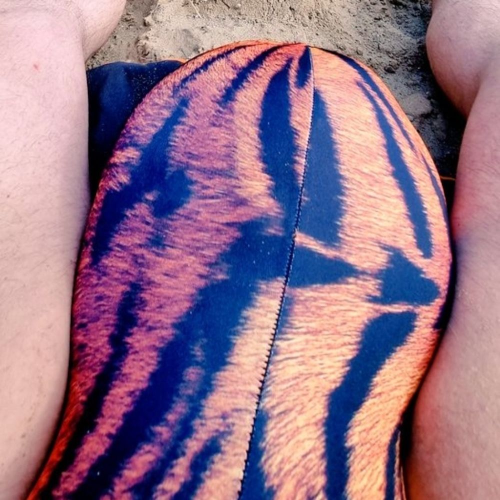 PublicBULGE
