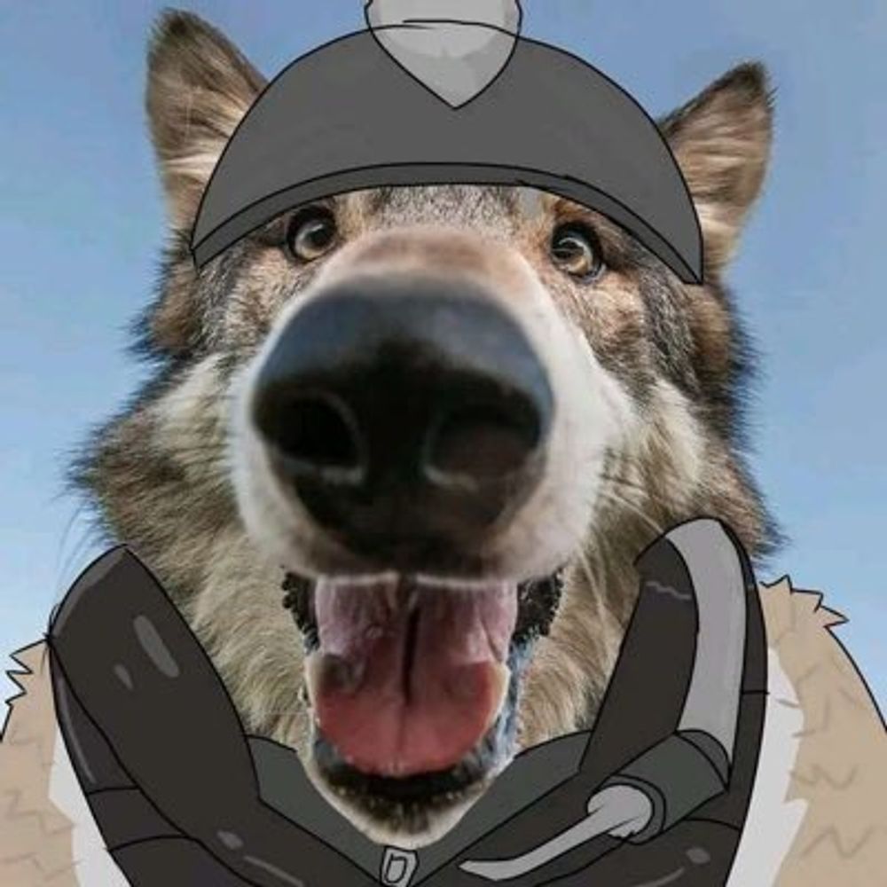 Zed AD 🐺🪢