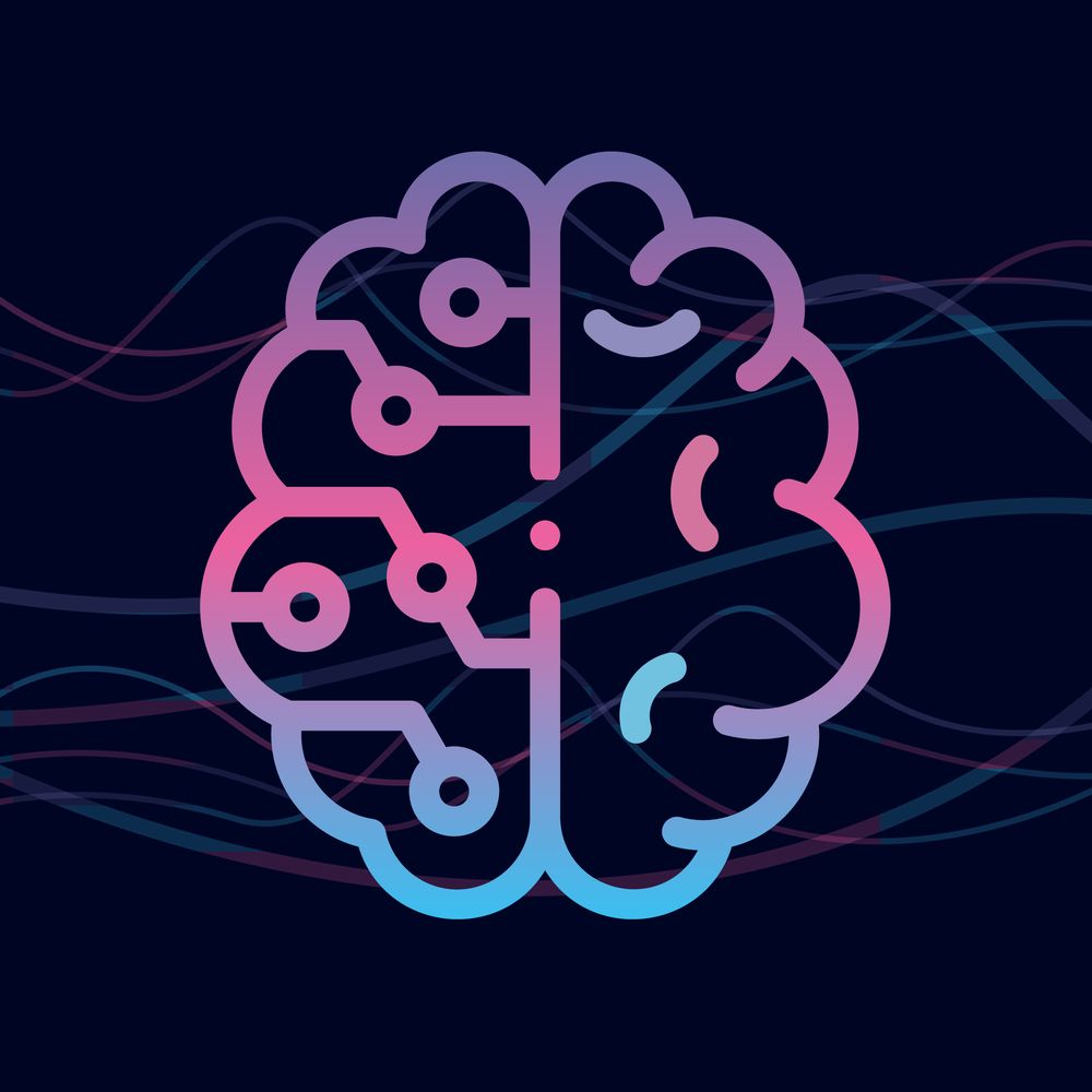 Learn To Discover 🧠