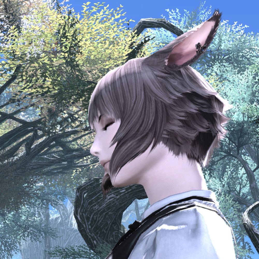 Yori