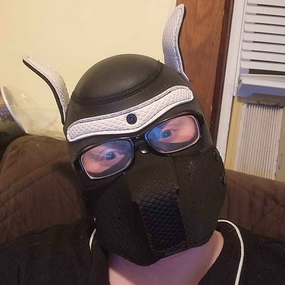 Pupgadget