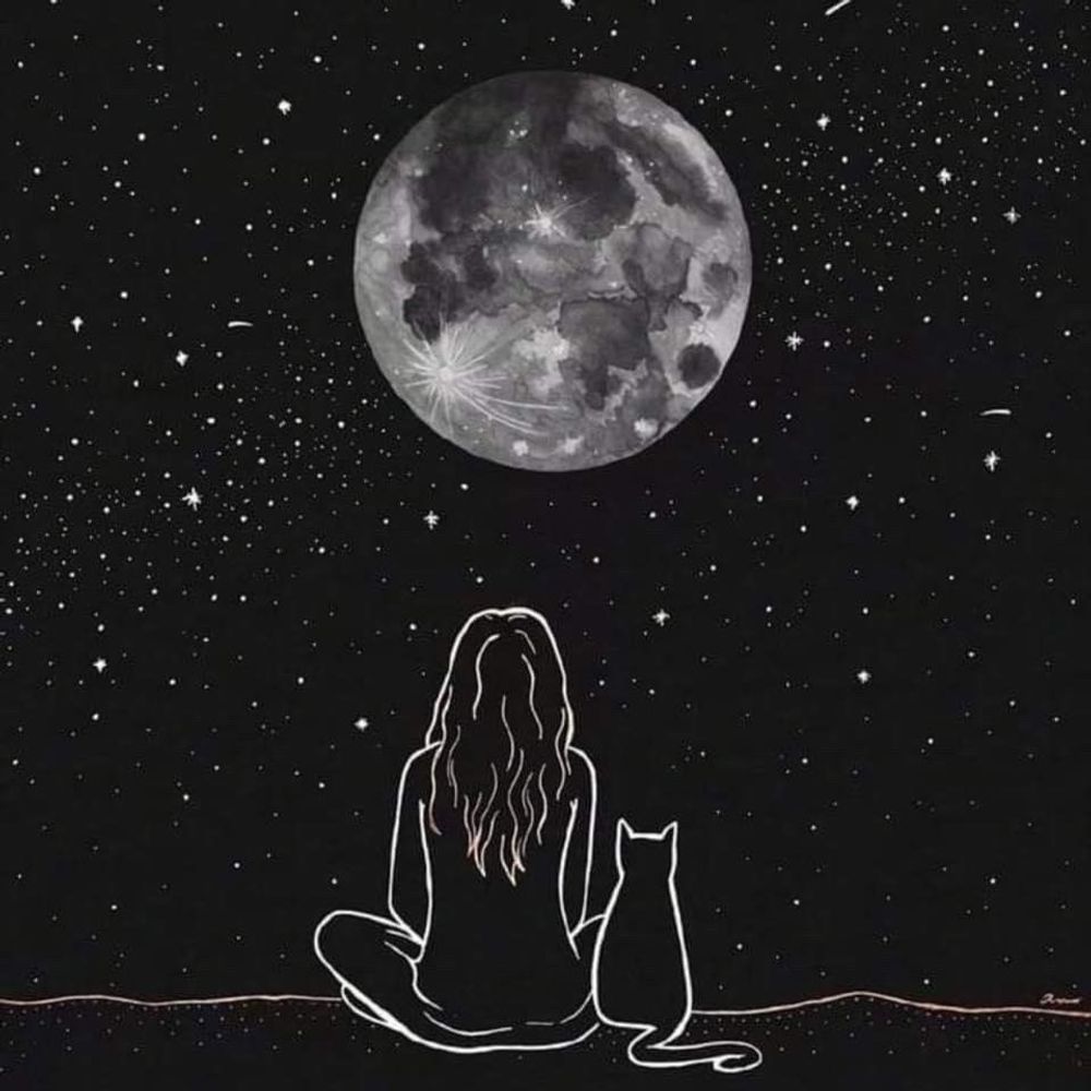 Kat