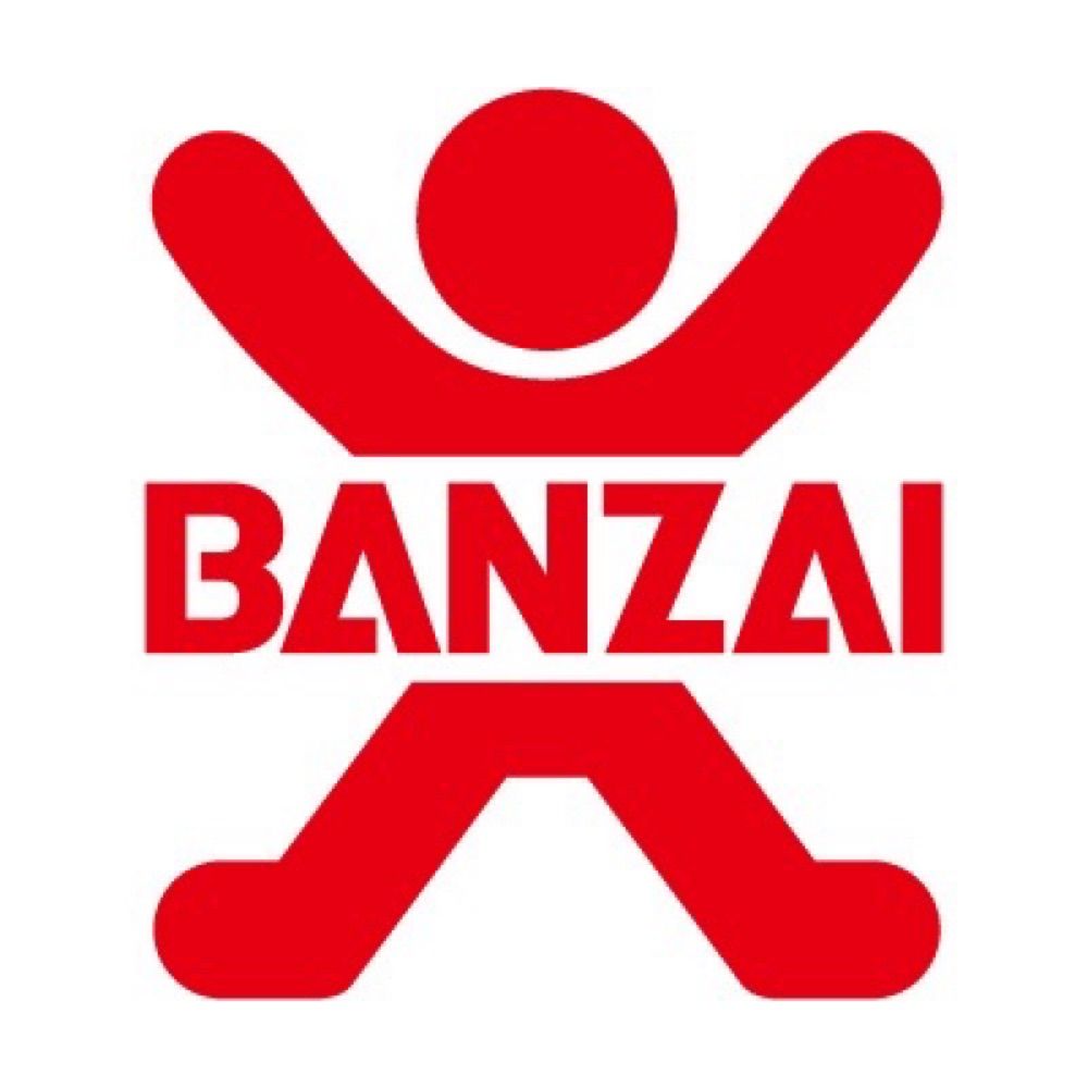 Hiroaki BANZAI