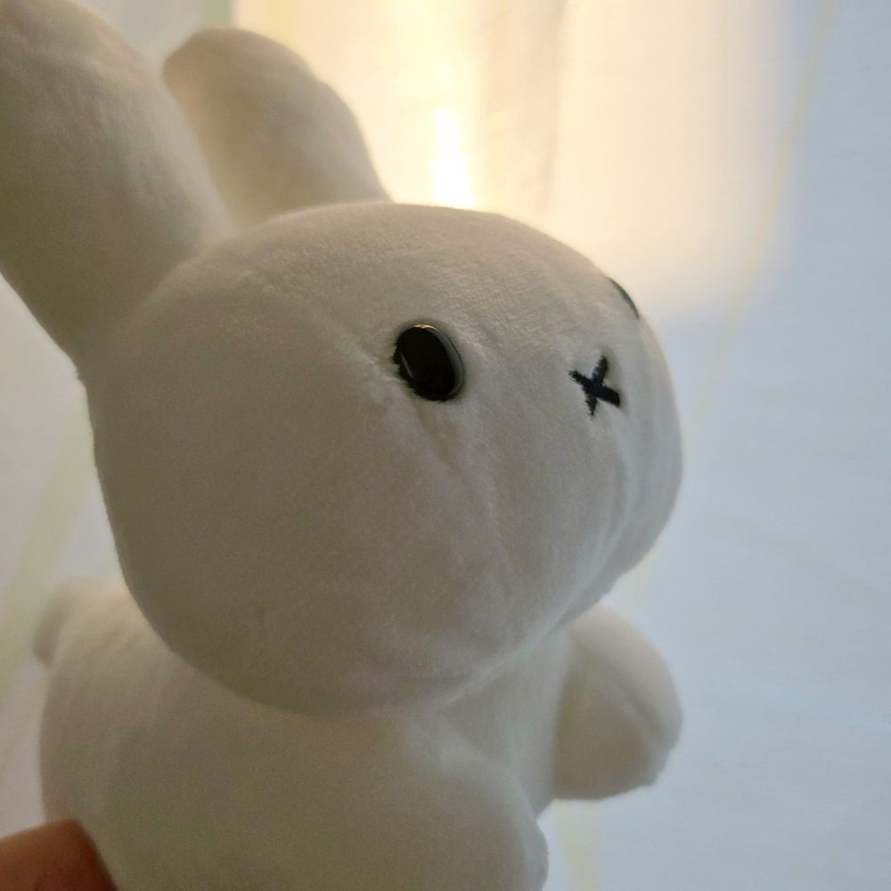 おもち