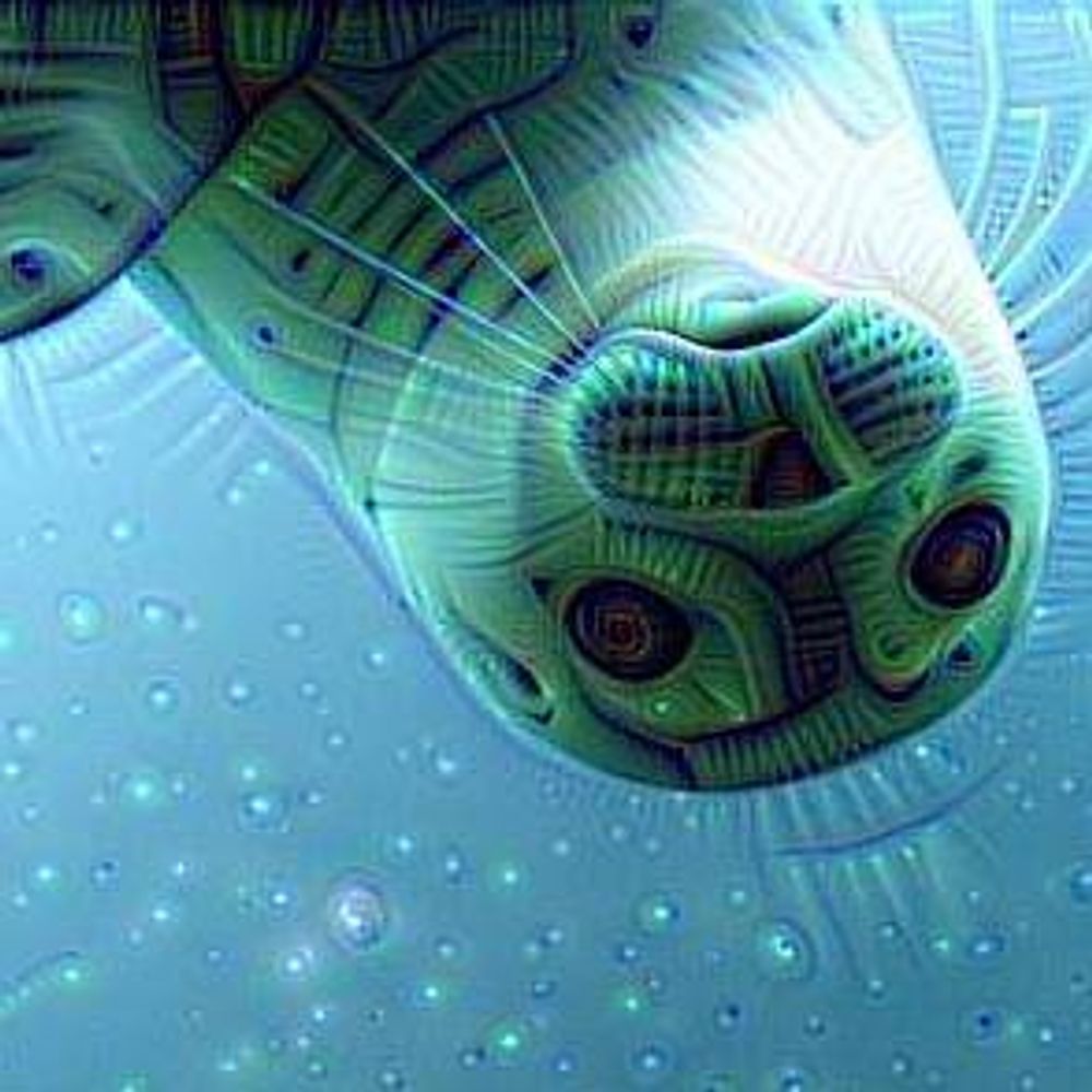 SealWyf
