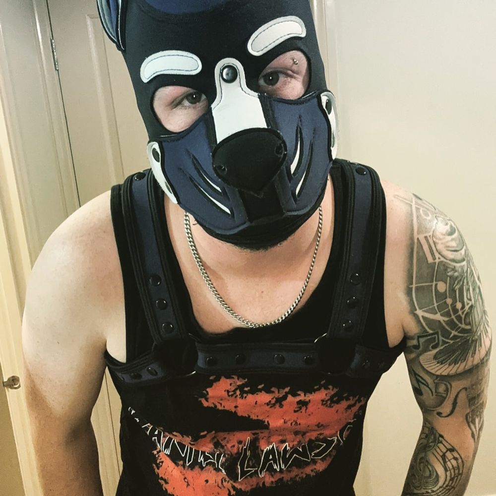 Nitro 