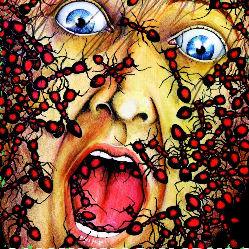 Weird album cover because this happened to me once