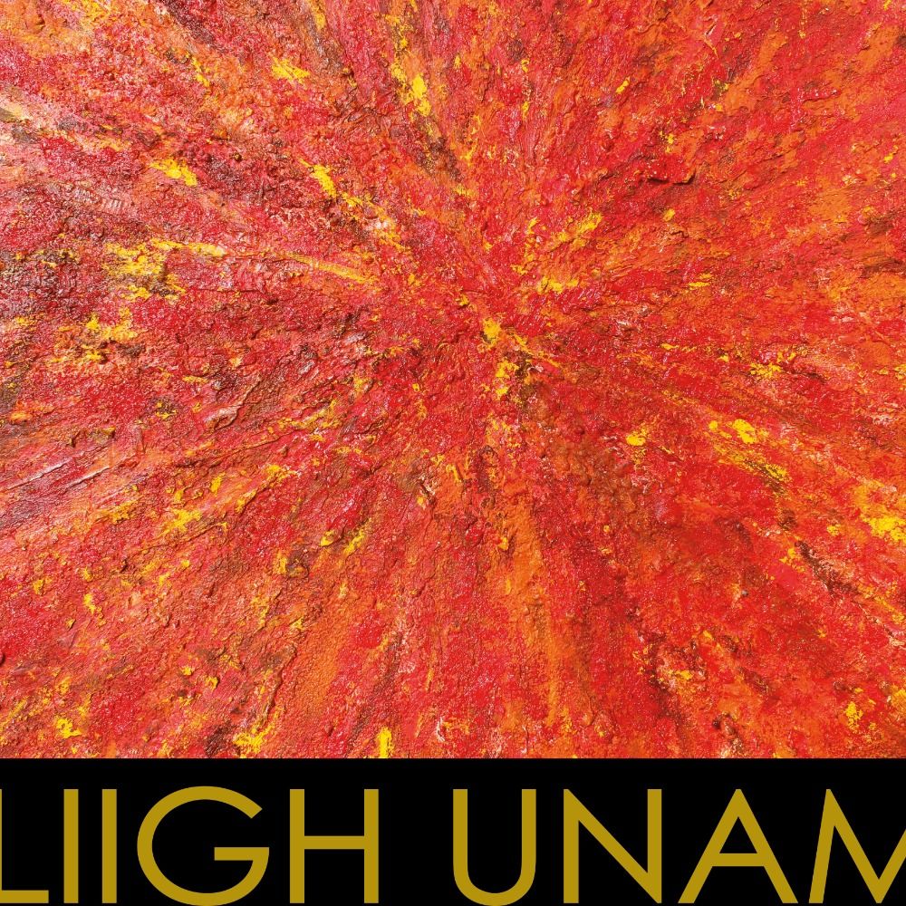 LIIGH UNAM