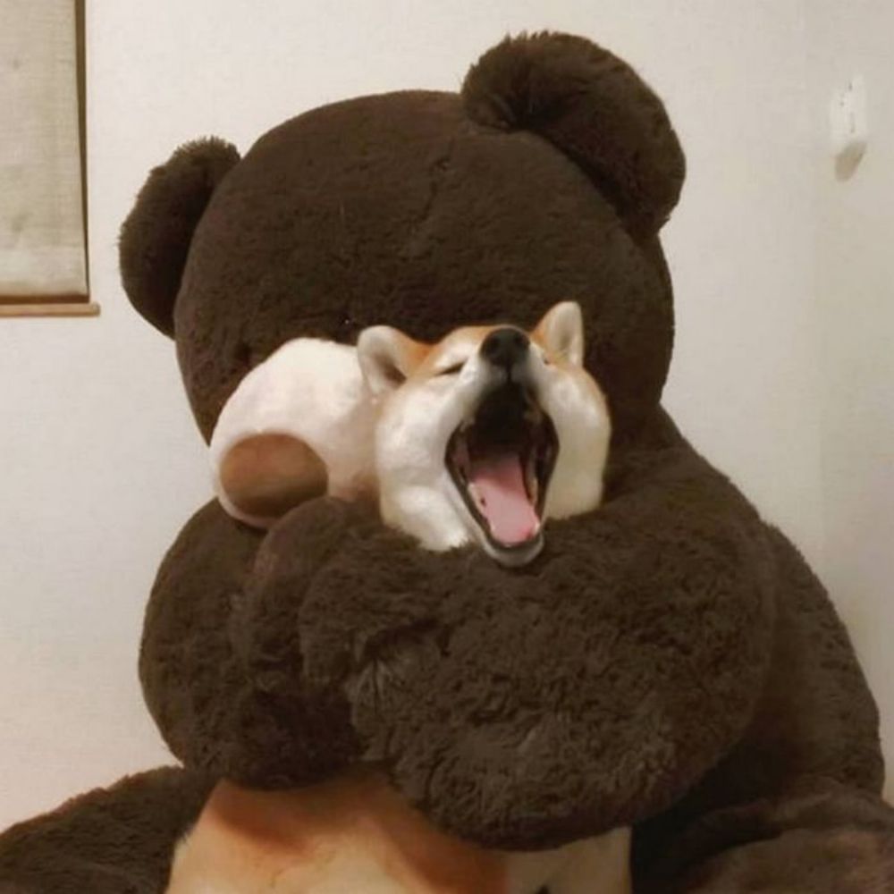 루하