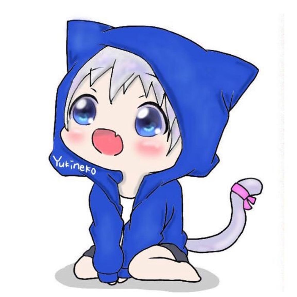 雪猫