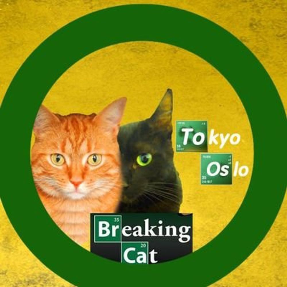 Tokyo et Oslo