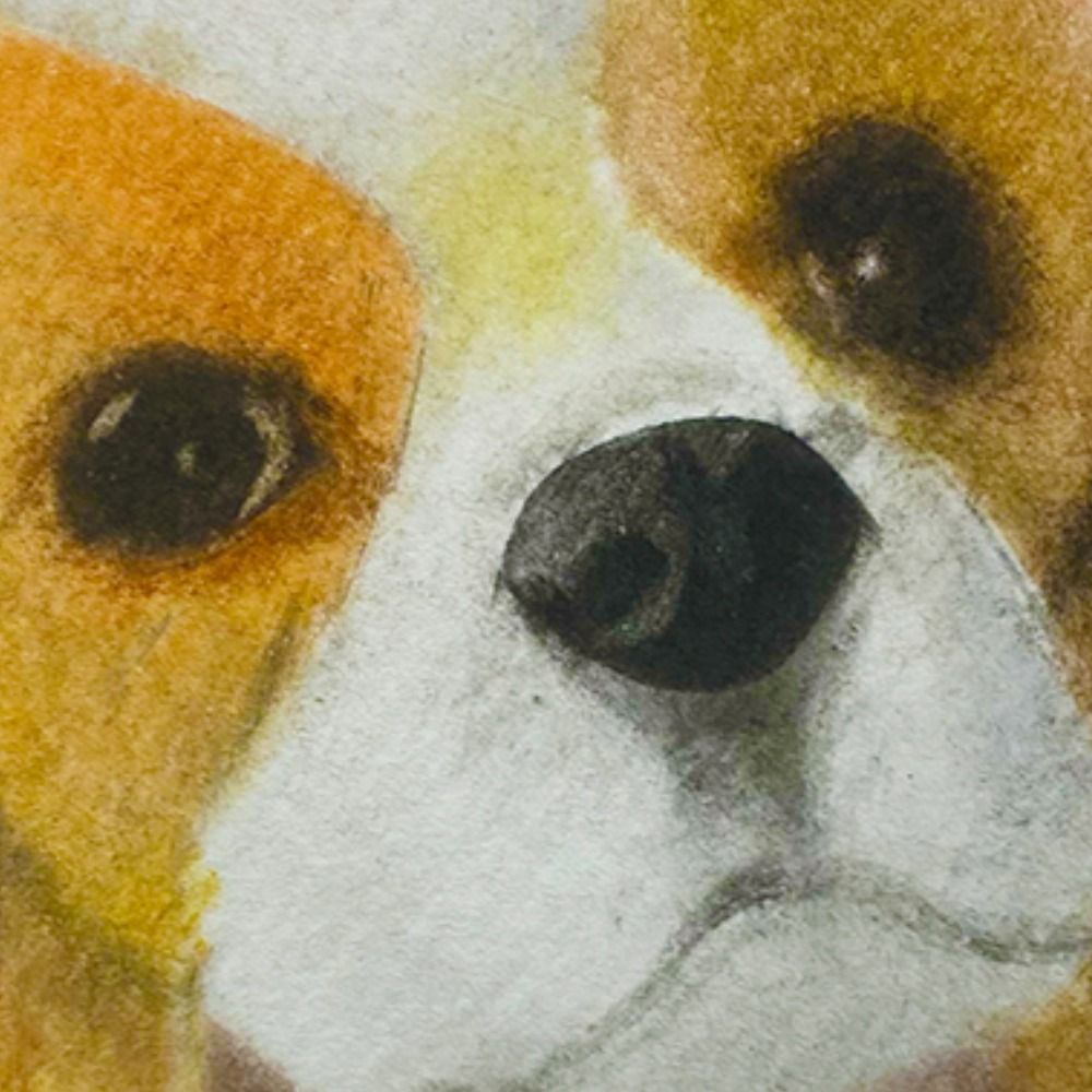 ぞーきばやし