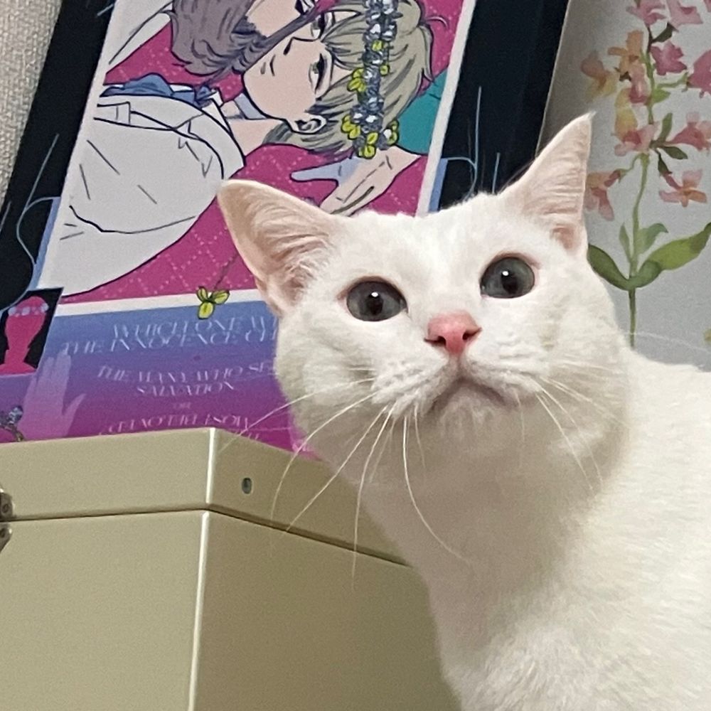 瀧本羊子