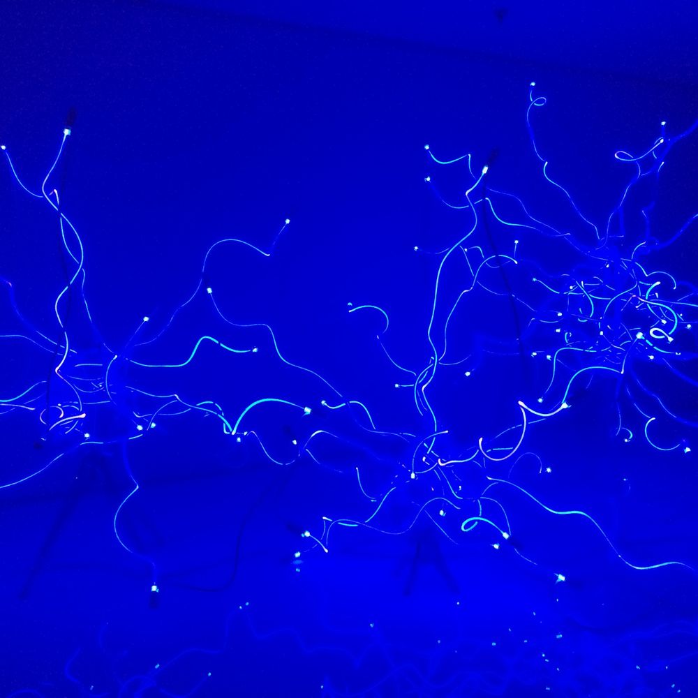 Speculative Machines and Us