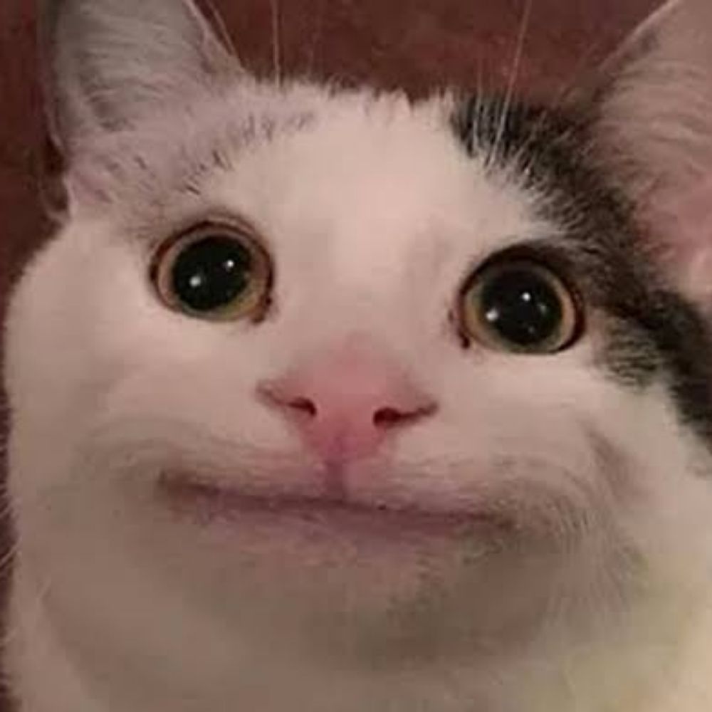 Mn