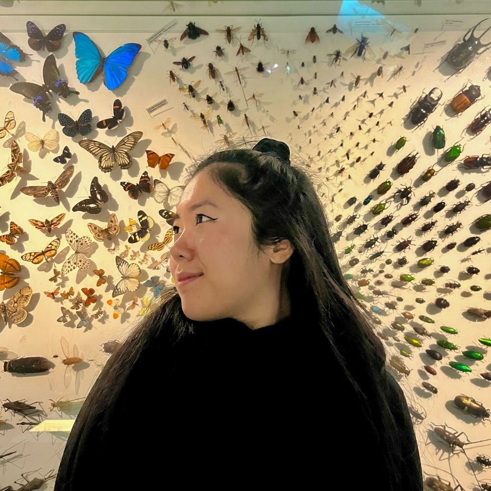 Giulia Lin