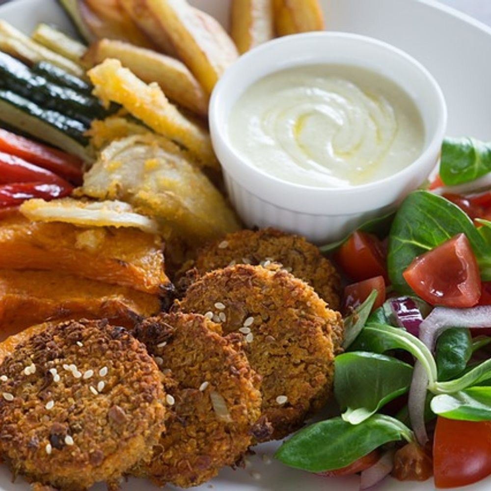 Vegan Food Feed