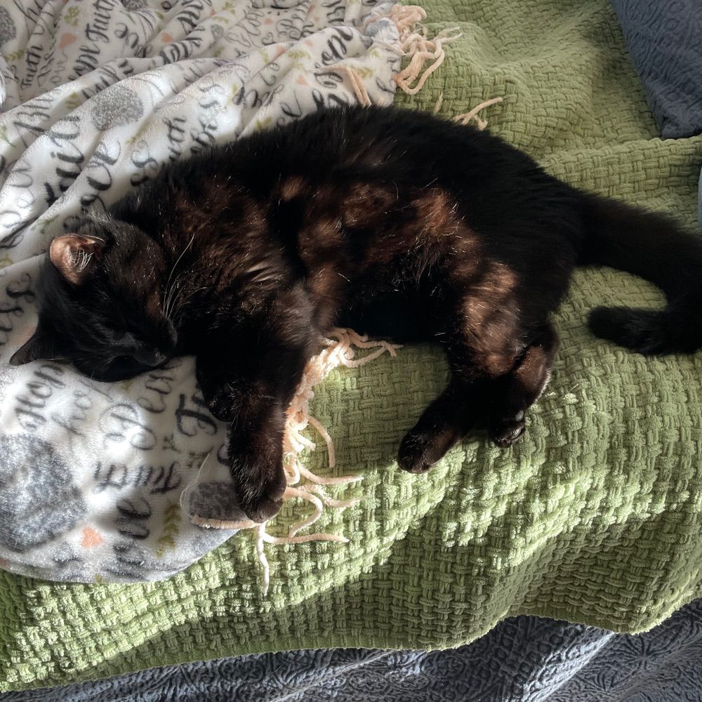 josie