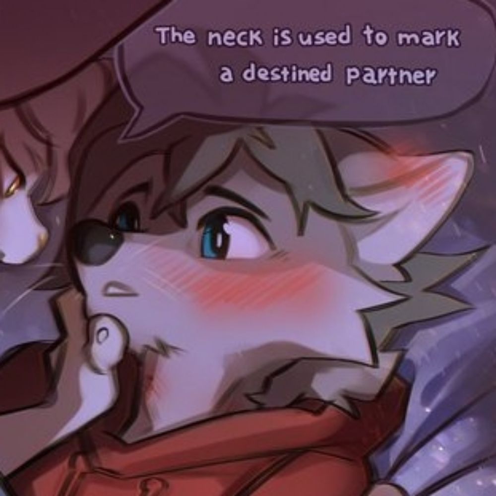 Dusk The cat